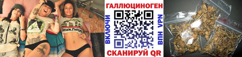 Псилоцибиновые грибы Magic Shrooms  это формула  Серафимович  как найти   hydra как войти 